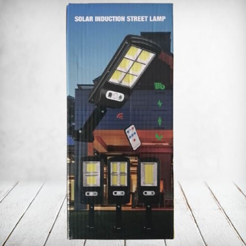 Solar Street Induction Lamp