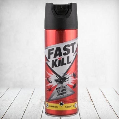 Fast Kill Insect Spray 180ml