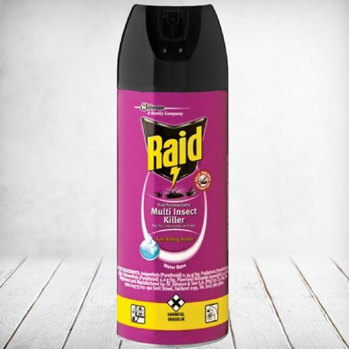 Raid Multi Insect Killer 300ml