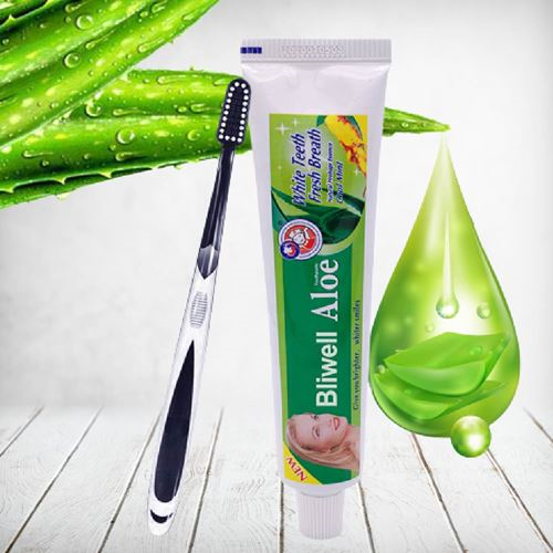 Aloe Toothpaste & Brush 105g